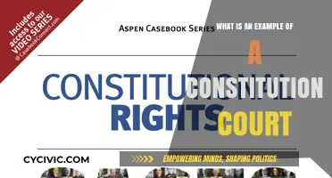 Constitutional Court Examples: Understanding Judicial Power