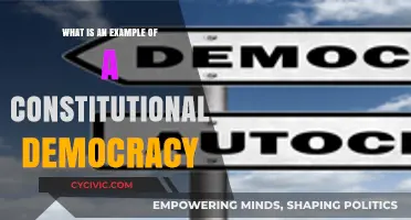 Constitutional Democracy: A Real-World Example