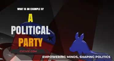 Understanding Political Parties: A Real-World Example Explained