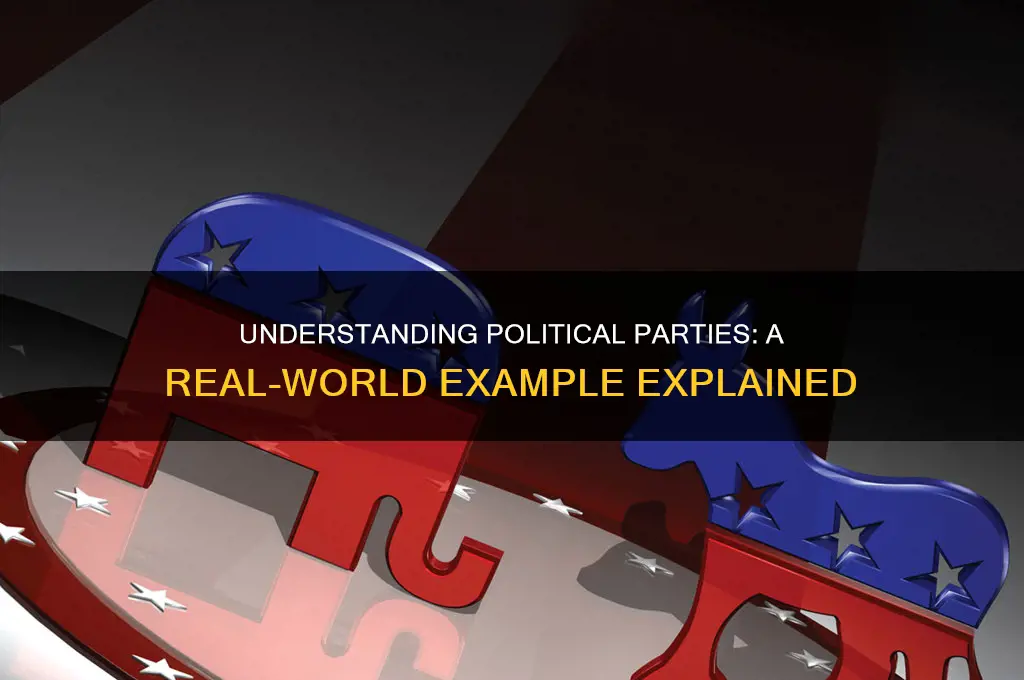 what is an example of a political party