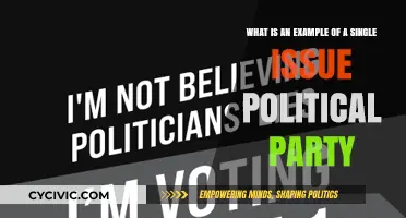 Exploring Single-Issue Parties: A Focused Political Movement Example
