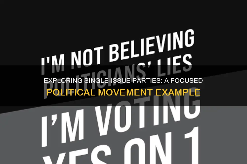what is an example of a single issue political party