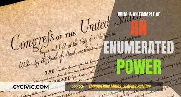 Enumerated Powers: An Example and Its Significance