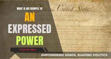 Expressed Powers: A Constitutional Example Explained