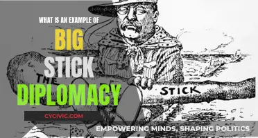 Big Stick Diplomacy: A Real-World Example Explained