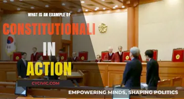 Constitutionalism in Action: A Real-World Example