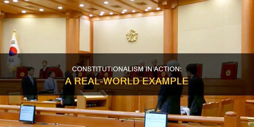what is an example of constitutionalism in action