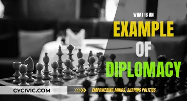 Diplomacy in Action: A Real-World Example
