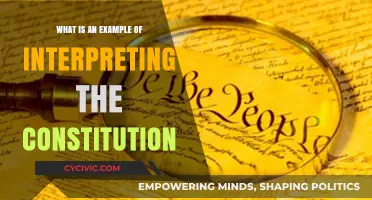 Interpreting the Constitution: An Example-Led Exploration