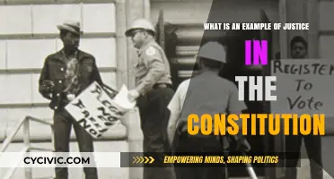 Justice in the Constitution: An Example