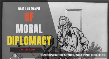 Moral Diplomacy: A Case Study of US Foreign Policy