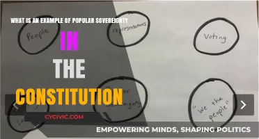 Sovereign Power: The Constitution and Popular Sovereignty