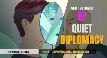 Quiet Diplomacy in Action: A Real-World Example