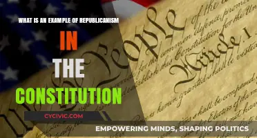Republicanism in the Constitution: An Example