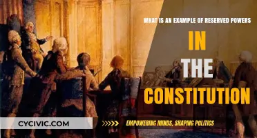 Reserved Powers: Examples and Their Constitutional Impact