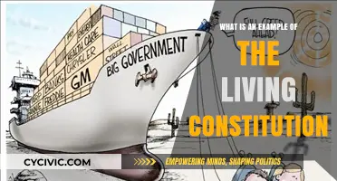 The Living Constitution: An Ever-evolving Document