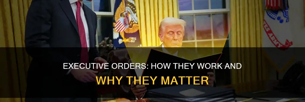 what is an executive order in simple terms
