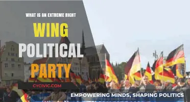 Understanding Extreme Right-Wing Political Parties: Ideologies, Goals, and Impact