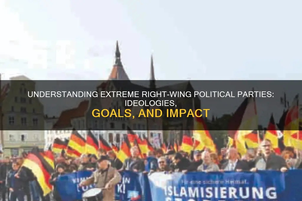 what is an extreme right wing political party