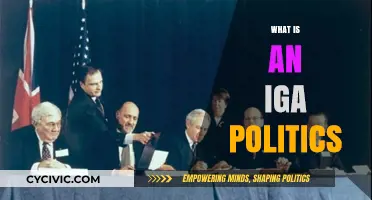 Understanding IGA Politics: A Comprehensive Guide to Intergovernmental Agreements