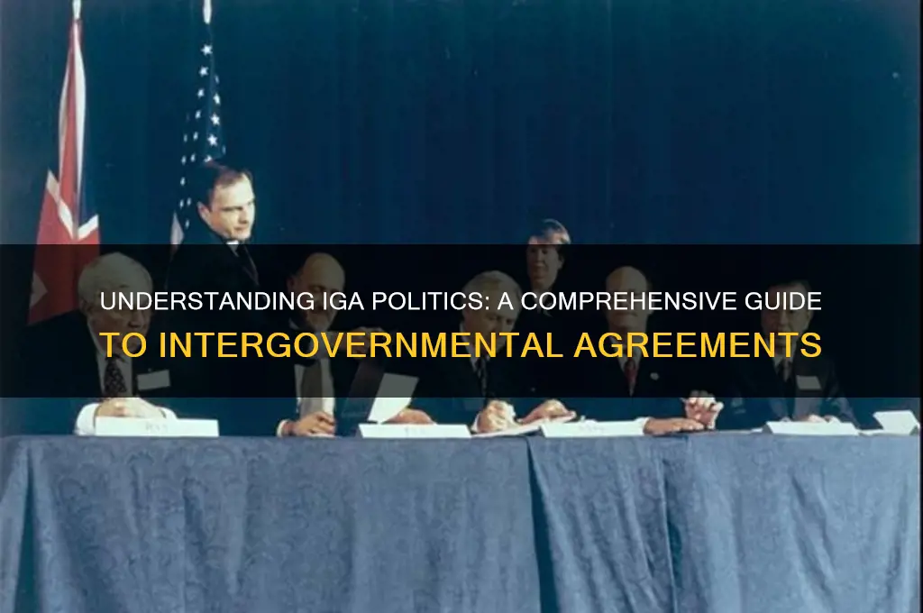 what is an iga politics