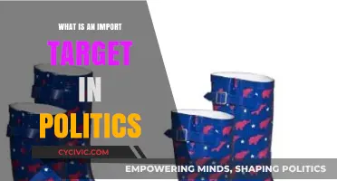 Understanding Import Targets: A Key Concept in Political Economics