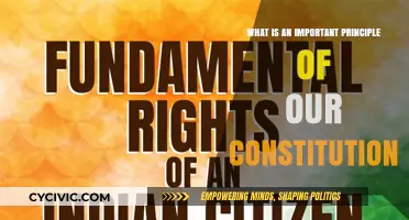 The Constitution's Core Principle: Equality for All