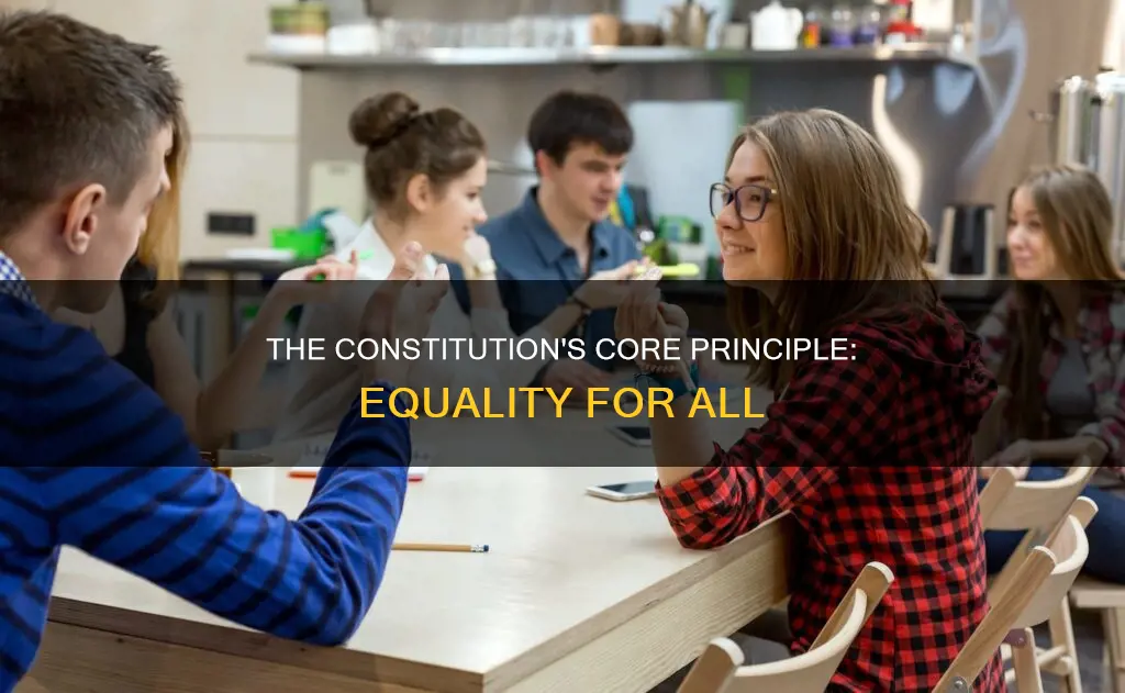what is an important principle of our constitution