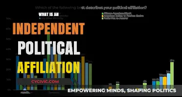 Exploring the Spectrum: Understanding Independent Political Affiliation