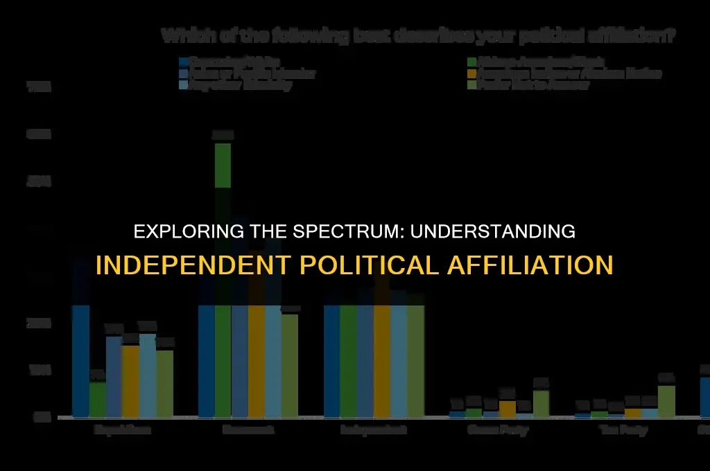 what is an independent political affiliation
