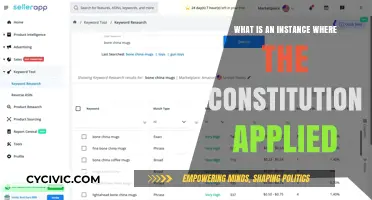 Constitution in Action: Real-World Applications