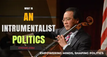 Understanding Instrumentalist Politics: Power, Strategy, and State Interests Explained