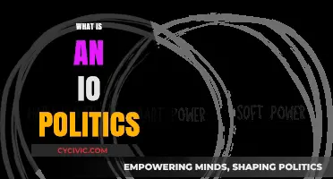 Understanding IO Politics: International Organizations' Influence and Power Dynamics