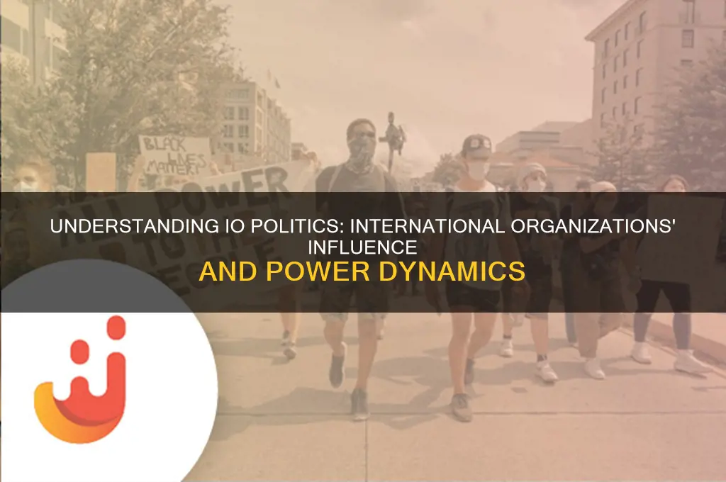 what is an io politics