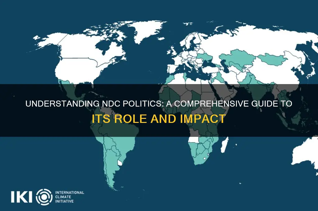 what is an ndc politics