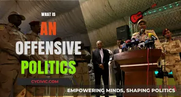 Understanding Offensive Politics: Tactics, Impact, and Societal Consequences Explained