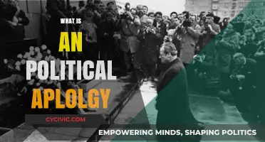 Understanding Political Apologies: Meaning, Impact, and Historical Significance