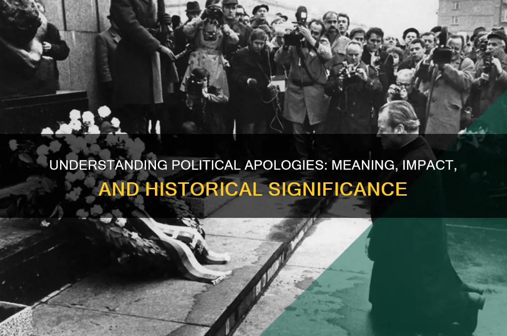 what is an political aplolgy