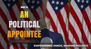 Understanding Political Appointees: Roles, Responsibilities, and Impact on Governance