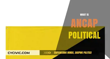 Understanding Ancap Politics: Core Principles and Societal Implications Explained