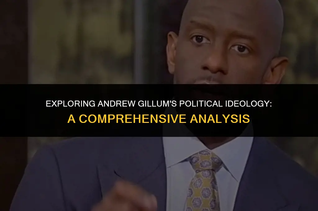 what is andrew gillum political views
