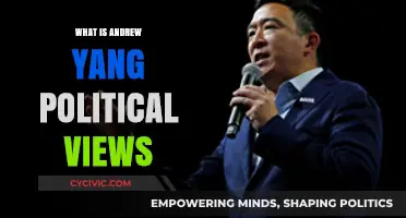 Exploring Andrew Yang's Political Ideology: A Comprehensive Overview