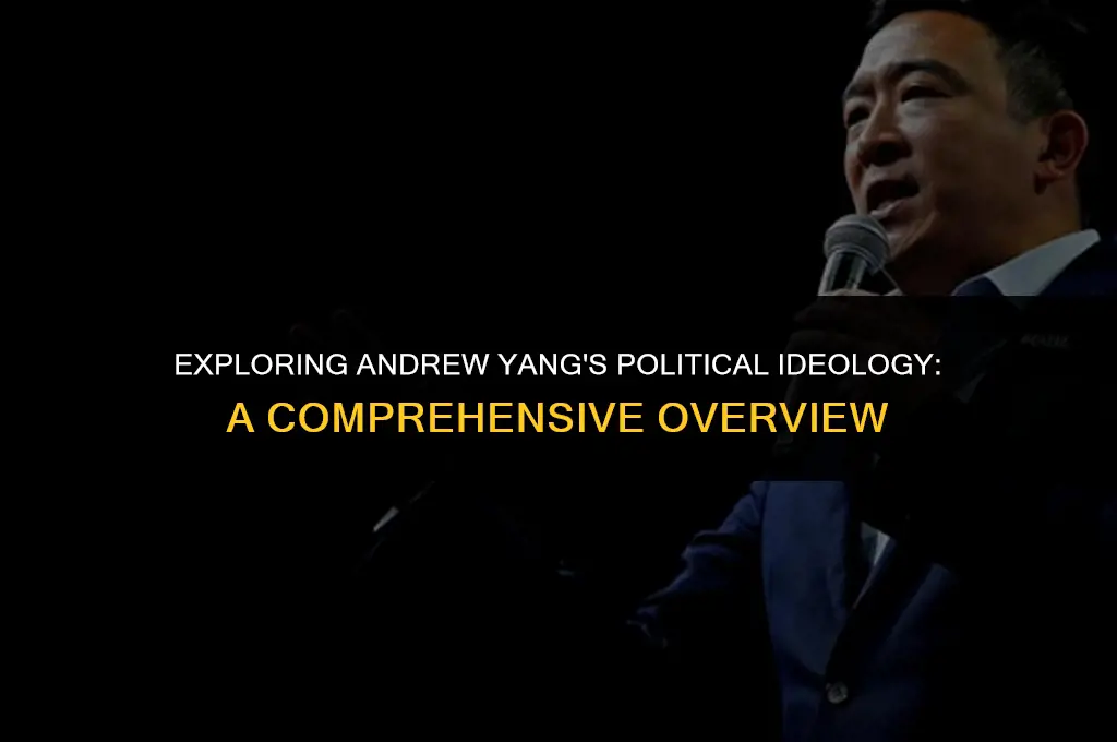 what is andrew yang political views