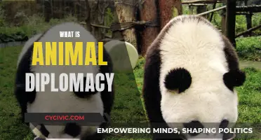 Animal Diplomacy: A Powerful Tool for Global Relations