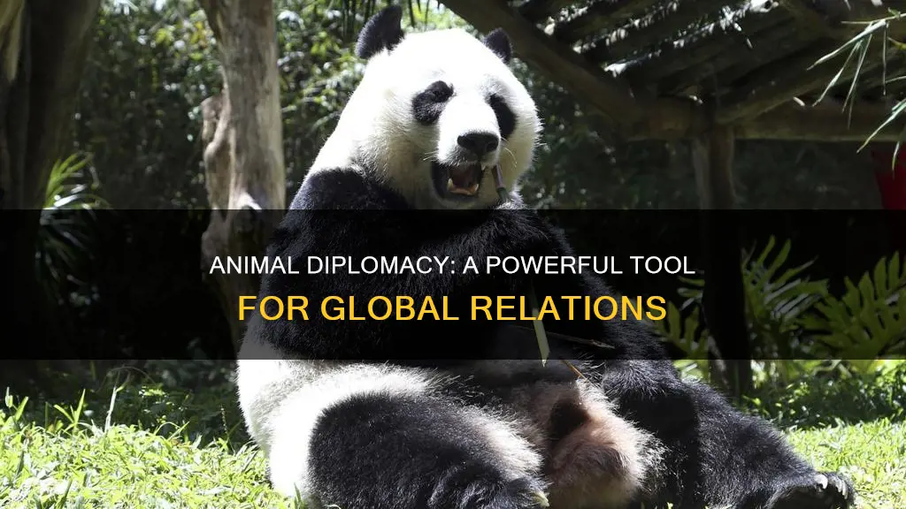 what is animal diplomacy