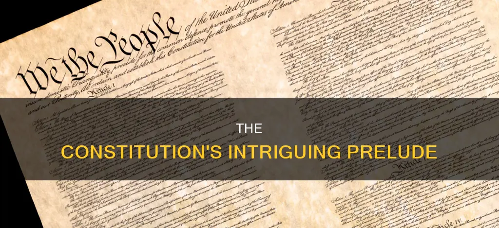 what is another name for the introduction to the constitution