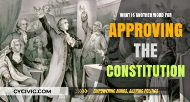 The Constitution's Approval: Exploring Synonymous Terminology
