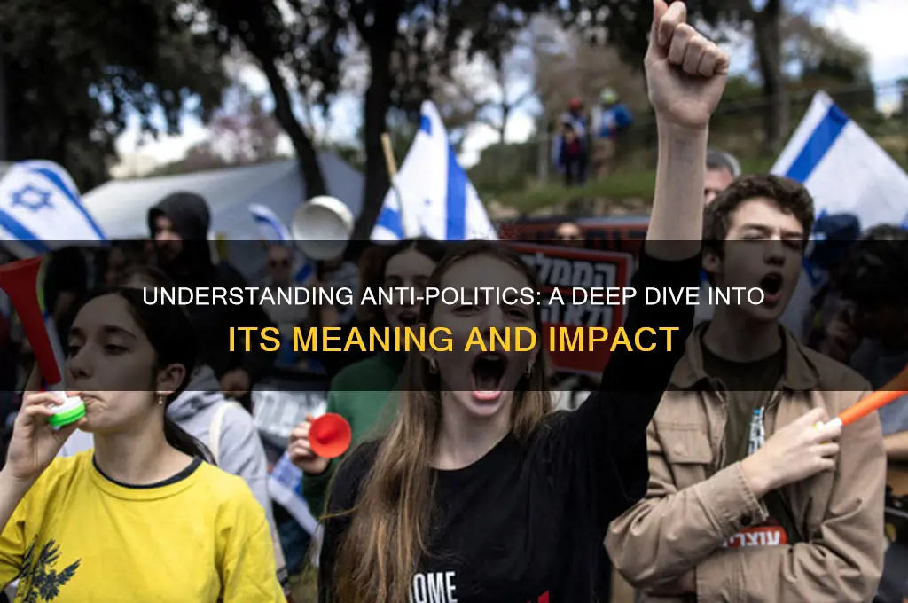 what is anti politics