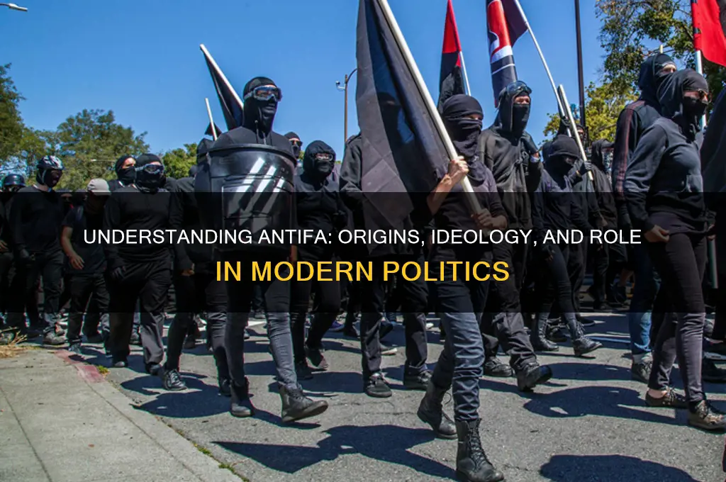 what is antifa in politics