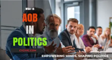 Understanding AOB in Politics: Meaning, Impact, and Practical Applications